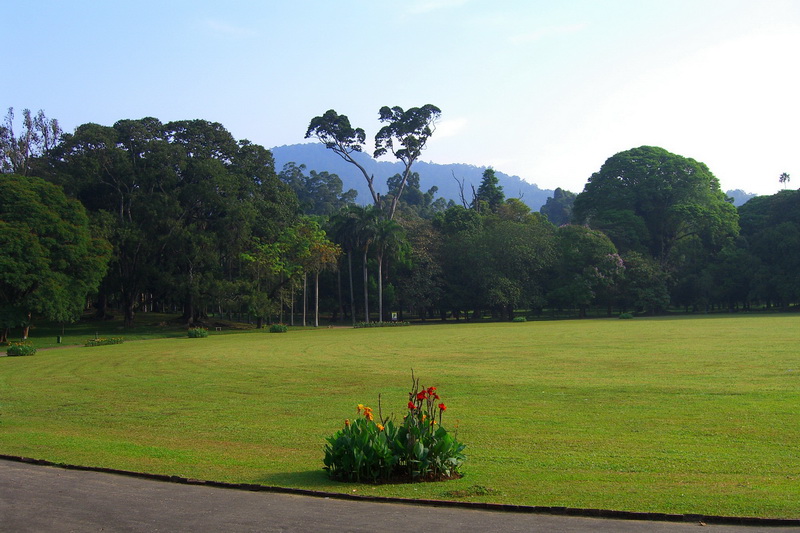 Sri Lanka, Kandy, Royal Botanical Garden